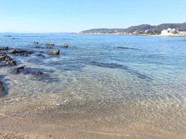 画像1: 葉山公園の綺麗な海をバックにパシャり。