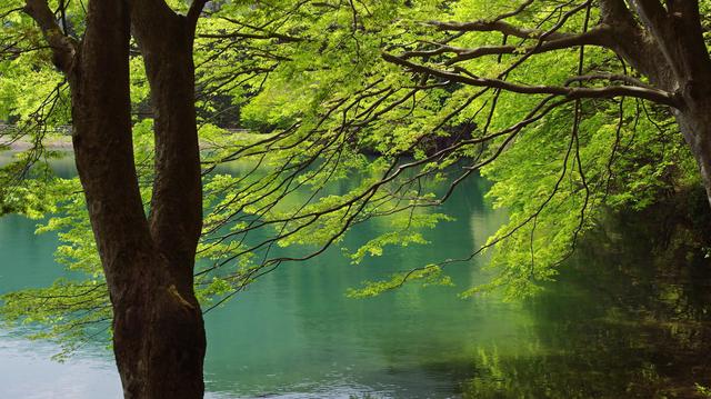 画像: 「風景」
