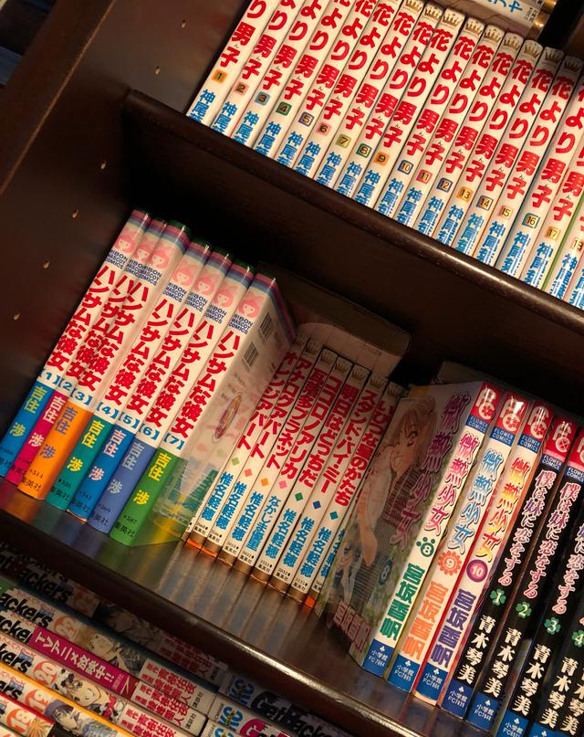 画像2: 本棚には入りきらない!?