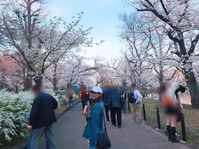 画像: 見頃の桜がいっぱい!