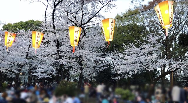 画像8: ミク様は花より団子!?今年初のお花見は◯◯へ行ってきました♡【水曜日のミク様】
