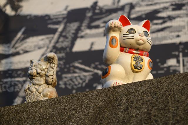 画像2: 旅先で偶然、出会えるもの