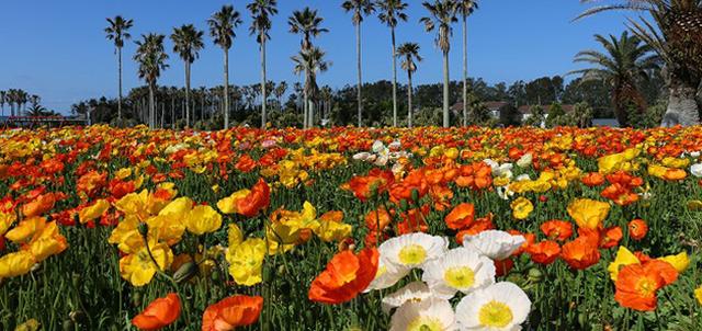 画像: familypark.jp