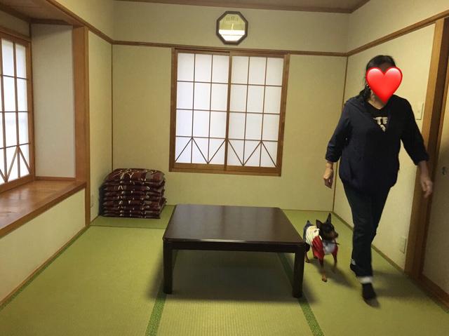 画像: リビングには和室もあります☆(顔NGのくせに入ってくる。笑)