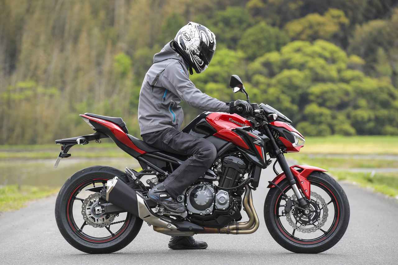 画像1: ライダー身長／176cm