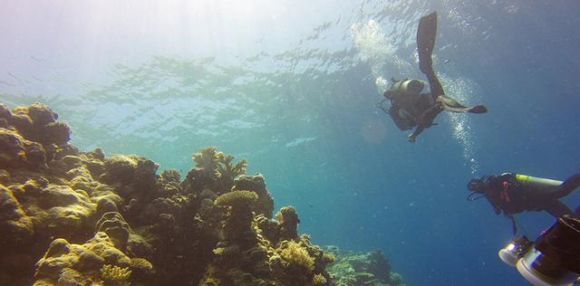 画像1: uyamaresort.com