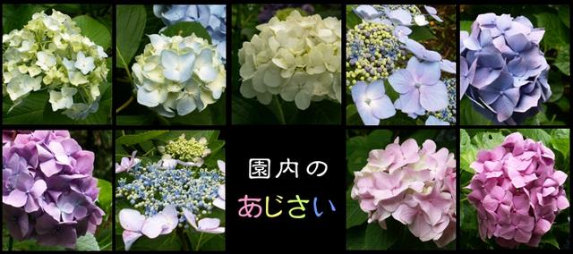 画像: www.sankeien.or.jp