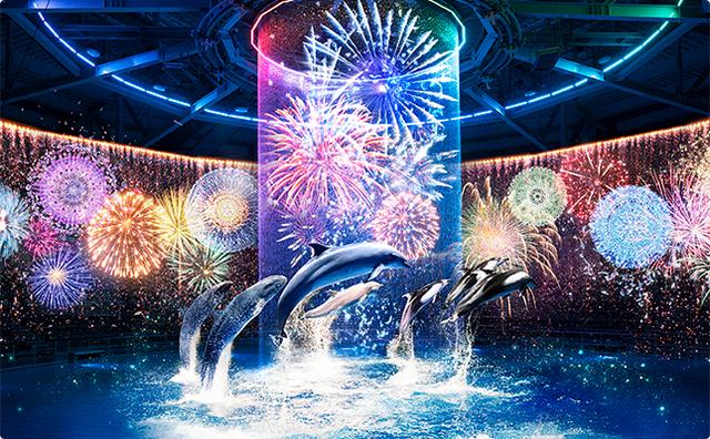 画像: 星花火-Digital Fireworks-/毎夜開催!花火アート×ドルフィンパフォーマンス。360°の音と光が会場をつつみこみます☆ www.aqua-park.jp