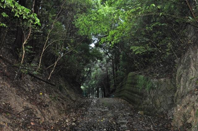 画像: 早く立ち去りたいと思った和歌山県。香ノ塔峠