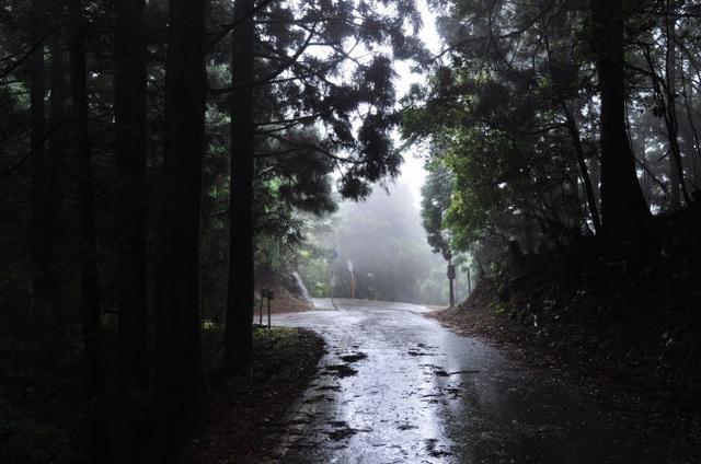 画像: 神々しい雰囲気で幻想的な峠。和歌山県・コカシ峠