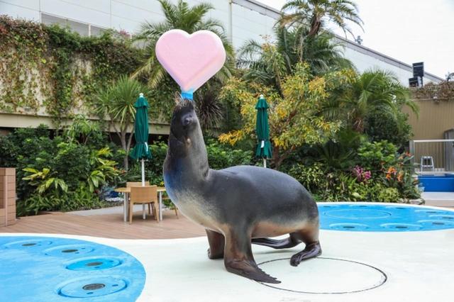 画像1: 水族館