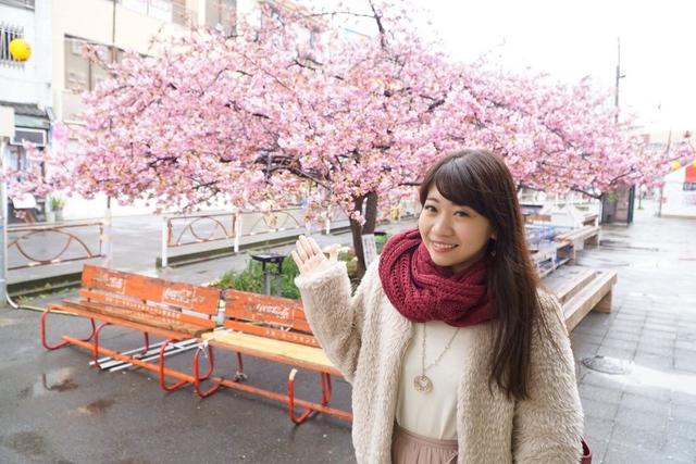画像1: 三浦海岸桜まつり