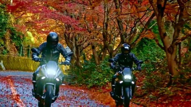 画像: めっちゃ紅葉しているから、やっぱり昨年の秋に撮影したんでしょうね・・・。 www.youtube.com