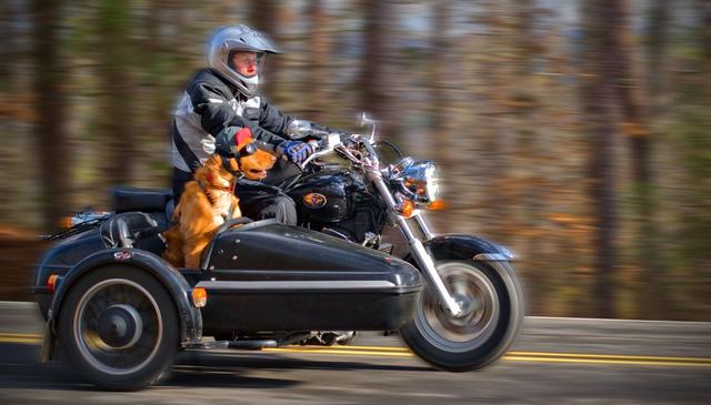 画像: 風を受けて、気持ち良さそうな表情がいいですね。 motorcyclingalabama.info