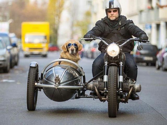 画像: 多くのサイドカーファンが憧れるBMWアウトフィット。犬と飼い主は似てくるといいますが、確かに表情がソックリ? s-media-cache-ak0.pinimg.com