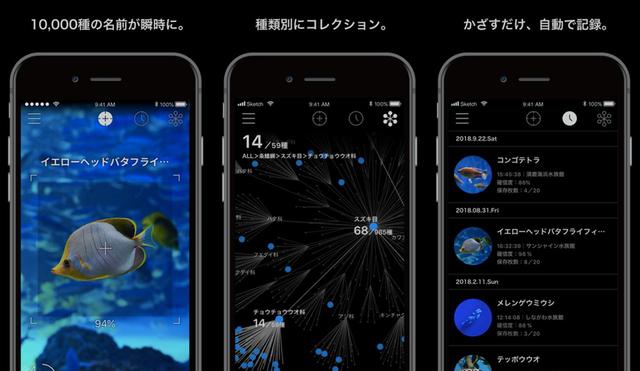 画像: AI搭載のかざす図鑑アプリでアクアリウムをより楽しむ