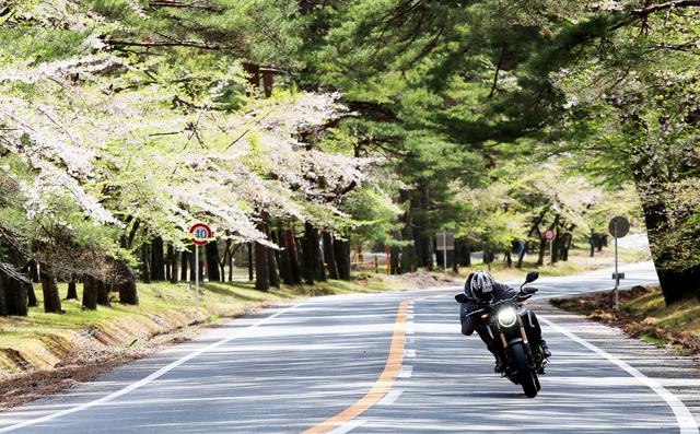 画像: 熱中症に気をつけて、楽しい夏を!