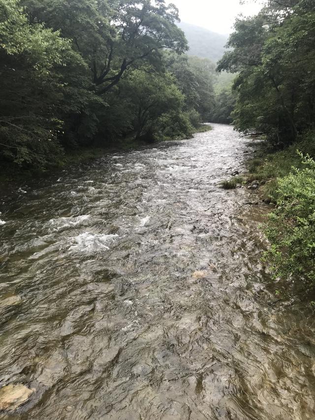 画像: 公園内には美しい森のなか、いくつもの渓流が流れています。釣り好きの堀内さんは「うわぁ〜釣りしてぇ!」と目を輝かせていましたが、もちろんしていませんよ!! (笑)。