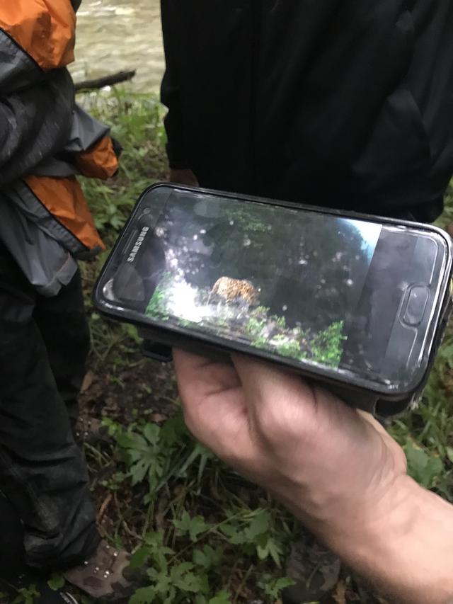 画像: 残念ながら、今回は野生のトラやヒョウに会うことはできませんでした・・・。やっぱり人数が多いと、彼らも警戒するので・・・とのことです。なおどのように個体数を把握しているのかというと、公園内各所に配置した450台のカメラでチェックしているとのこと。トラもヒョウも個体ごとに柄が違うので、100%判別することができるのだそうです。