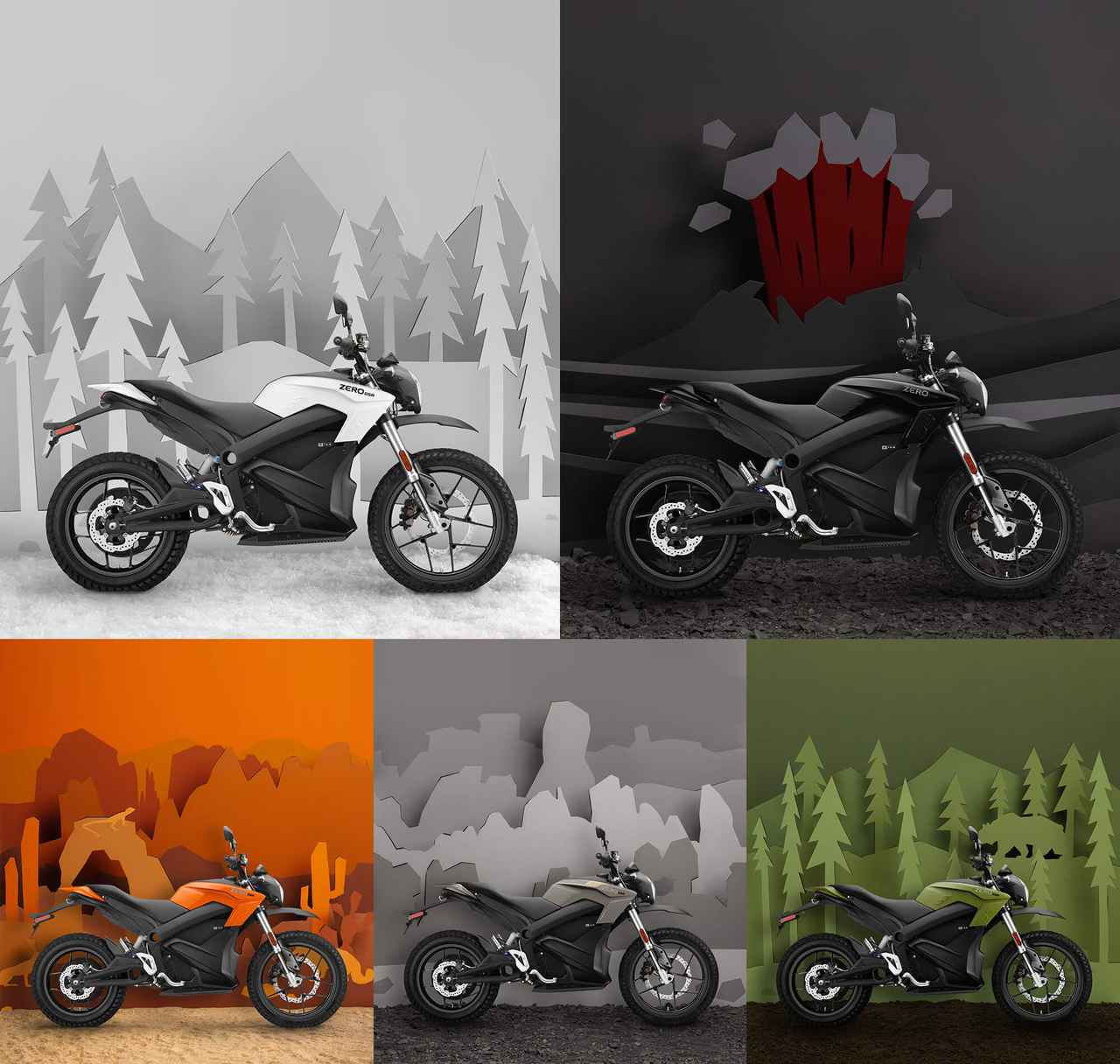 画像: Anniversary Edition DSR + National Forest Foundation