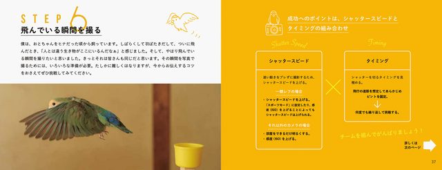 画像: 「飛んでいる瞬間」を撮るには?
