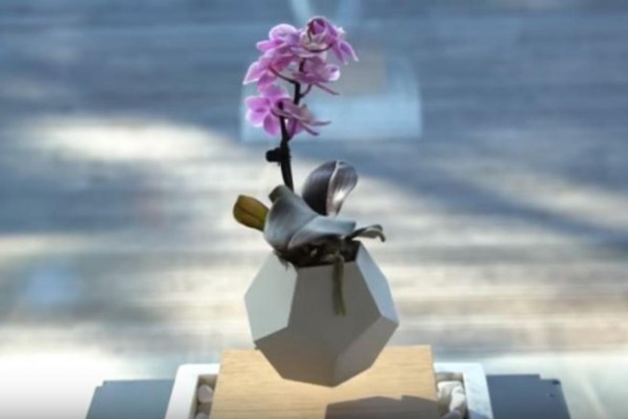 空中に植物を浮かせる 新しいプランター あらゆる角度から植物に陽があたる、宙に浮きながら回転するプランター