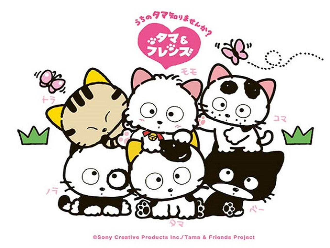 タマ&フレンズうちのタマ知りませんか?の「ニャシュマロ」が新登場! カワコレメディア