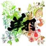 画像: 11月30月発売 初回限定盤(CD+DVD):SNCC-89919 通常盤(CD):SNCC-89920 SENHA & Co.