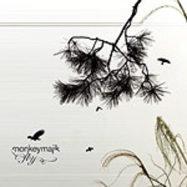 画像: vinyl records AVCD-30882 2006.1.18発売