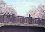 画像2: FM OH! シネマプレビュー『君の膵臓をたべたい』
試写会へ50組100名様をご招待!