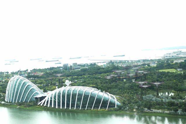 画像: 不思議な建物「ガーデンズ・バイ・ザ・ベイ」です。 ここは、また回を改めて!!!