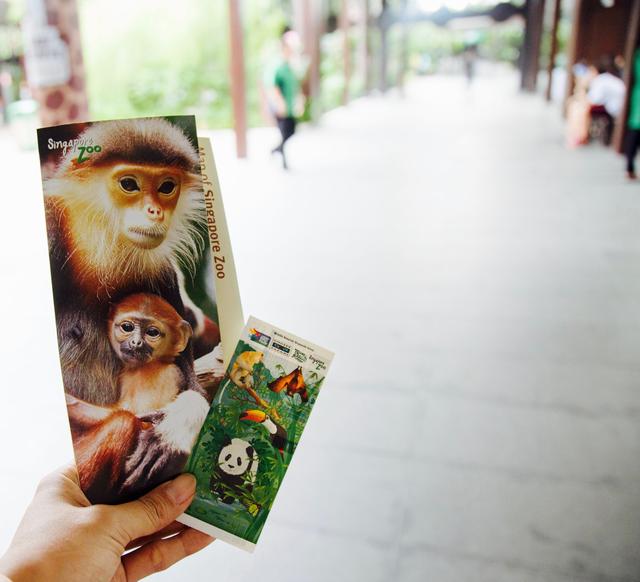 画像1: 「世界一美しい動物園」と称される シンガポール動物園です。