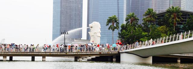画像10: LOVE FLAP SIA HOLIDAYS
TRAVEL FLAP in SINGAPORE vol.9
