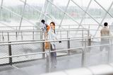 画像6: クラウド・フォレスト