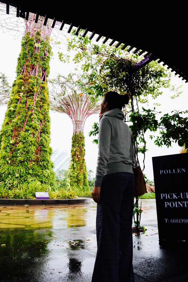画像2: マリーナ・ベイにオープンした巨大な植物園「ガーデンズ・バイ・ザ・ベイ」