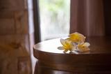 画像1: 忘れちゃ行けないのが、CHI「氣」スパ