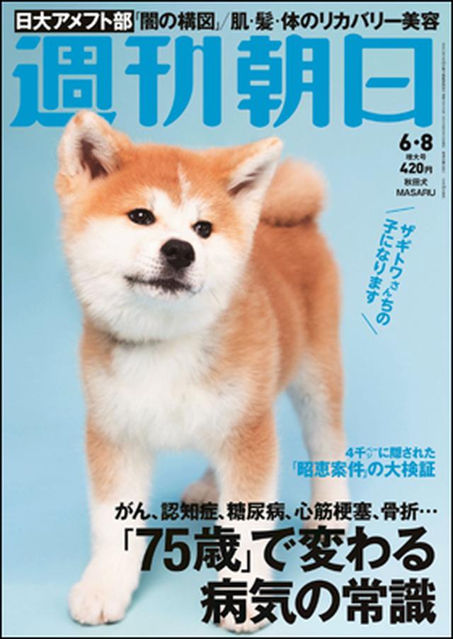画像: 表紙に犬?!