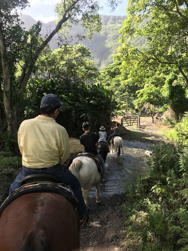 画像: ワイピオ渓谷① デコボコ道を歩いて行きます。途中でデザートがいただけたり!