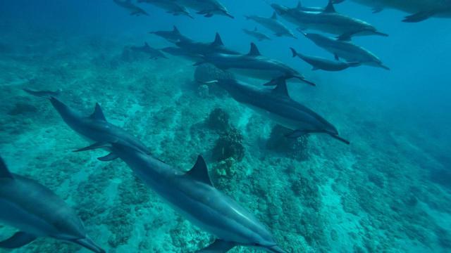 画像: この写真はツアーについてくれているカメラマンさんから後から頂けるとのこと!