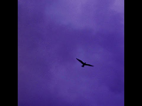 画像: Bialystocks - 言伝【Official Audio】 www.youtube.com