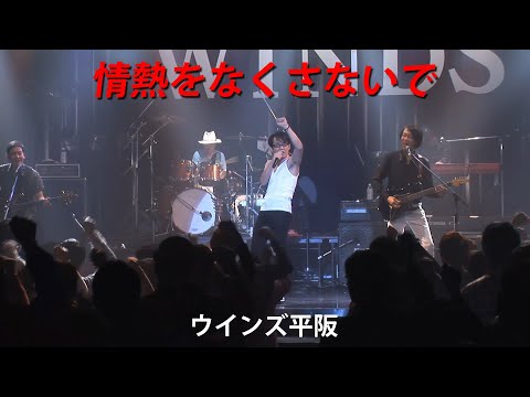 画像: ジョーシンCMオリジナル曲「情熱をなくさないで」ウインズ平阪 (歌詞付きMV) youtu.be
