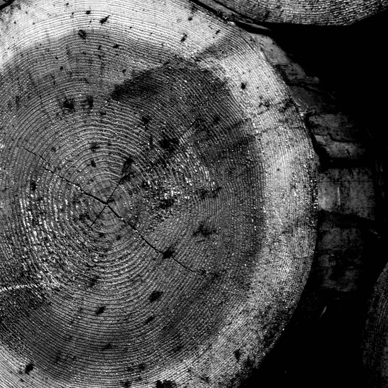 画像: 川口建設/大阪府阪南市　注文住宅・新築・リフォーム・自然素材・塗装