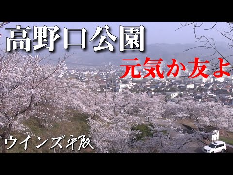 画像: 桜満開「元気か友よ」ウインズ平阪 (歌詞付きMV) youtu.be