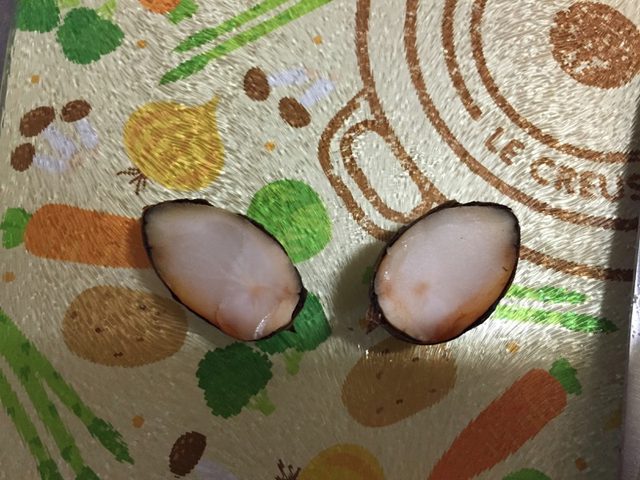 画像3: 生ごみダイエット大作戦!