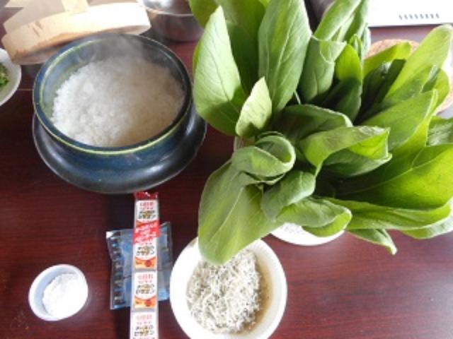 画像: 青梗菜がめちゃくちゃ元気だ!
