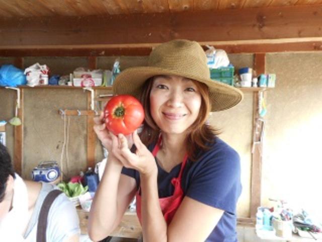 画像: チカちゃんとこのとれたてトマトはこんなに大きい!!