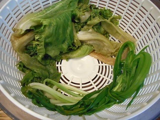 画像: しっかりと水切り!!