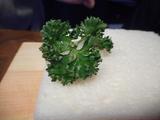 画像: 爪楊枝の上にパセリをのせて・・・