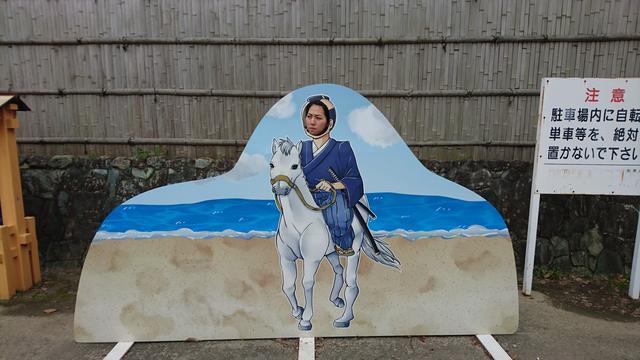 画像: なんメガ将軍前田彩名