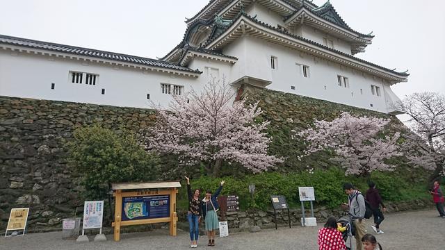 画像: いよいよ天守閣へ!ではなく・・・そのまま裏手へ。